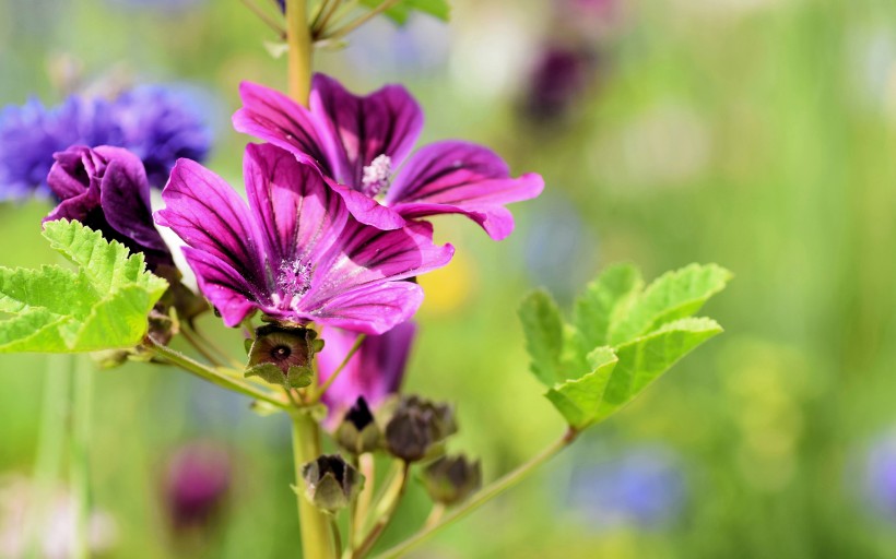 「遨游科技的海洋」有“直男癌”的三生肖，喜欢和妻子计较，吵架冷战不间断