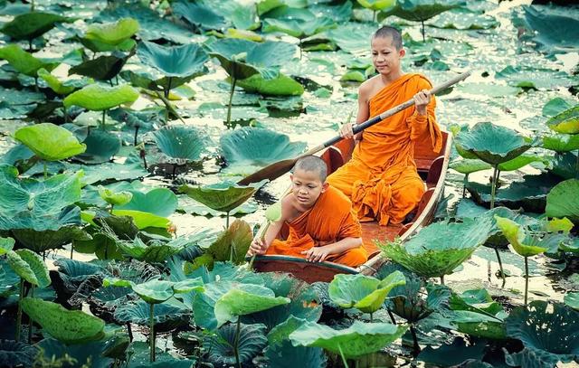 【藏漂小哥哥】在古老的西藏，有个古老故事