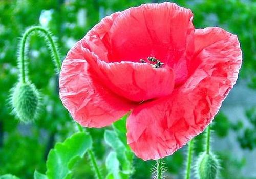 「心灵悦读」早安心语简短正能量语录 句句阳光有哲理