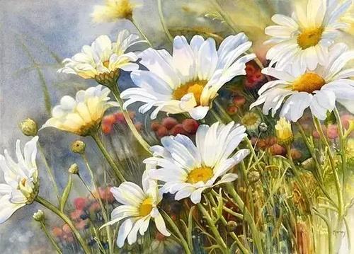 [薰衣草的爱情]人到中年后，太过善良，受伤的总是自己