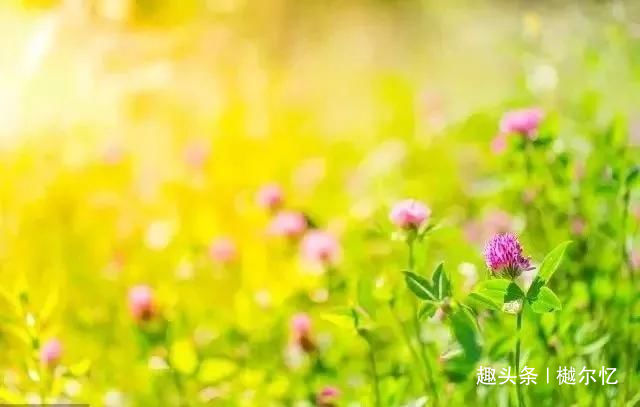 「樾尔忆璟」做人，请记住别人的好