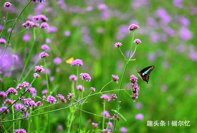 「樾尔忆璟」做人，请记住别人的好