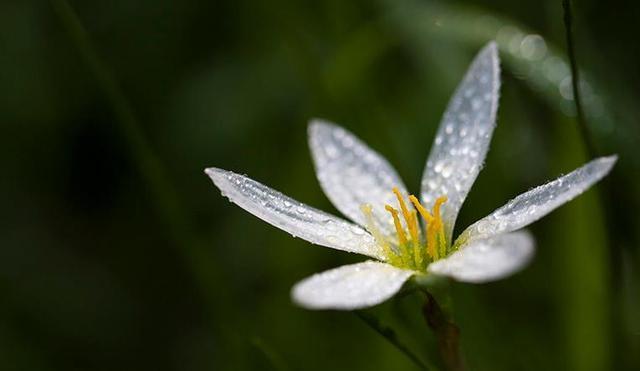 「浅浅情感说」太闲，会毁掉一个正常的人