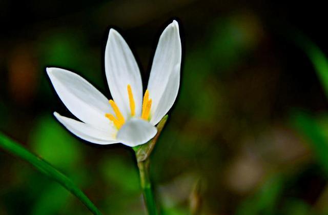 「浅浅情感说」太闲，会毁掉一个正常的人