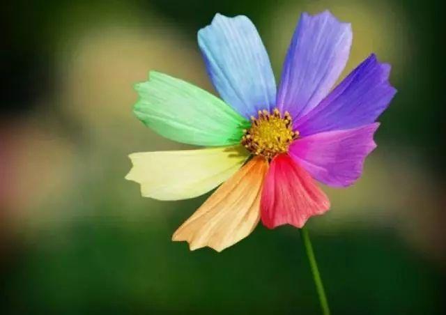 「柠檬美文」你怎么对我，我就怎么对你