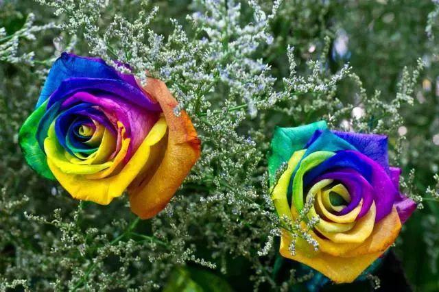 「柠檬美文」你怎么对我，我就怎么对你