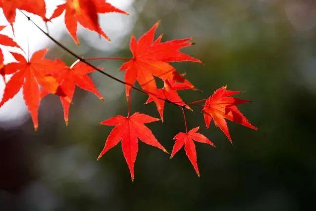 糖果儿■做人，永远不要去怪任何人！