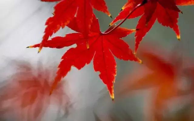 糖果儿■做人，永远不要去怪任何人！