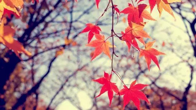 糖果儿■做人，永远不要去怪任何人！