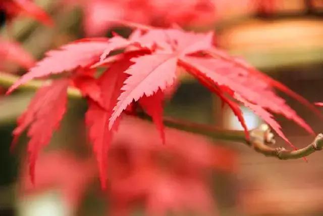 糖果儿■做人，永远不要去怪任何人！