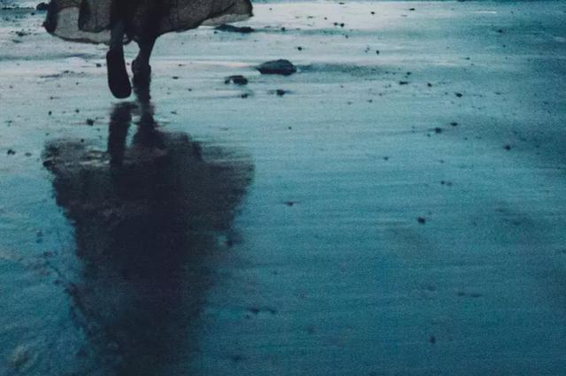 校园留声机@“有一种人，很傻”（值得一看）