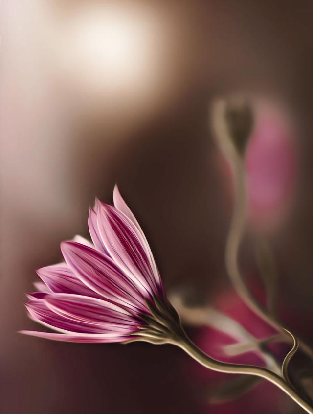 「手机摄影周刊」这14句心灵鸡汤，句句都是大实话，虽然有毒却不得不喝