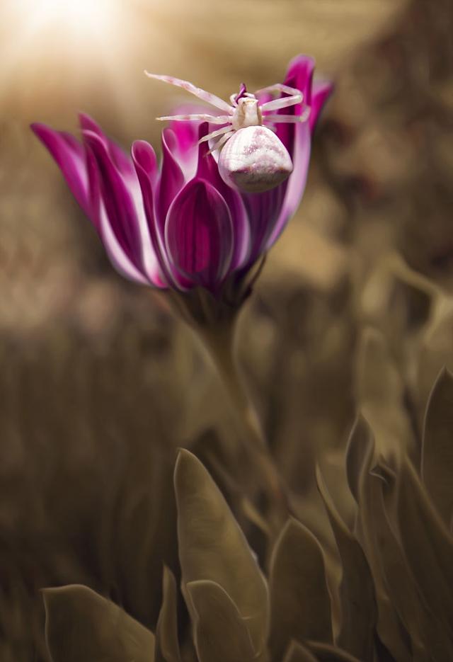 「手机摄影周刊」这14句心灵鸡汤，句句都是大实话，虽然有毒却不得不喝