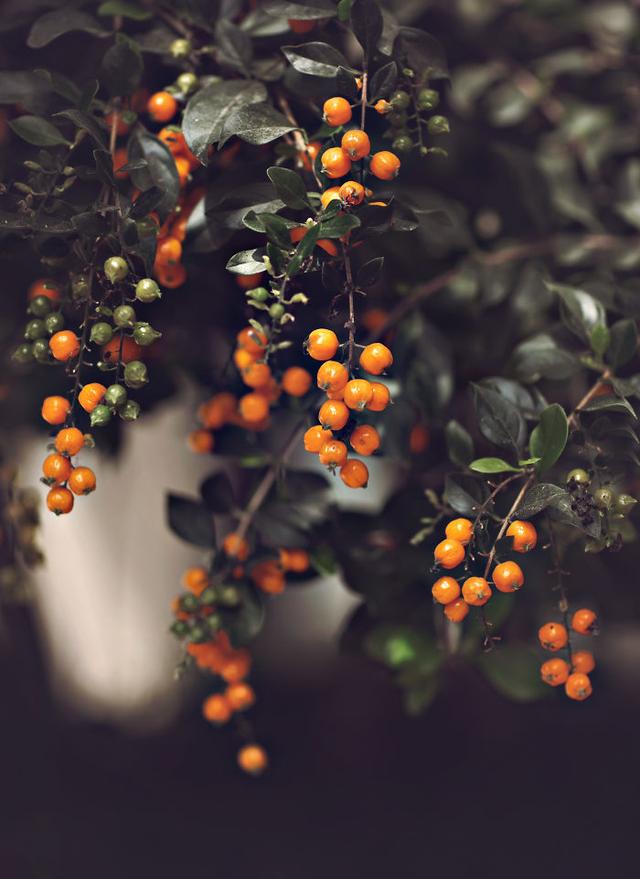 「手机摄影周刊」这14句心灵鸡汤，句句都是大实话，虽然有毒却不得不喝