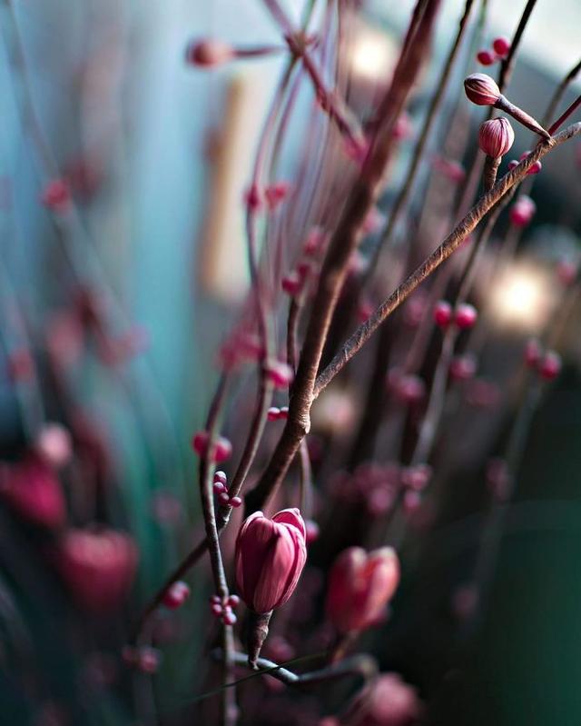 「手机摄影周刊」这14句心灵鸡汤，句句都是大实话，虽然有毒却不得不喝