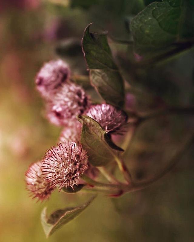 「手机摄影周刊」这14句心灵鸡汤，句句都是大实话，虽然有毒却不得不喝