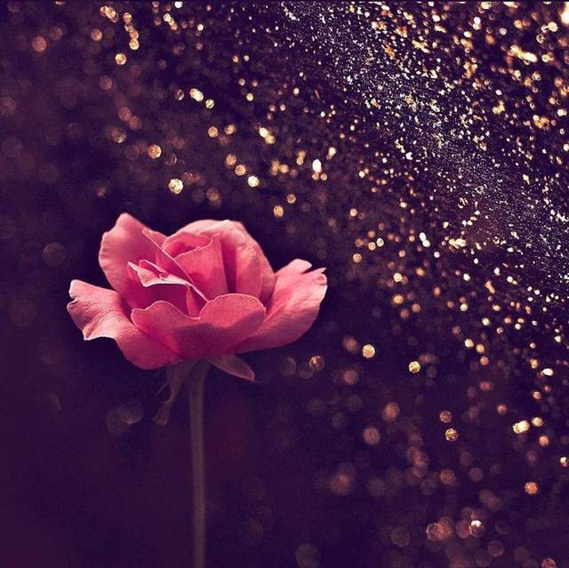 「手机摄影周刊」这14句心灵鸡汤，句句都是大实话，虽然有毒却不得不喝