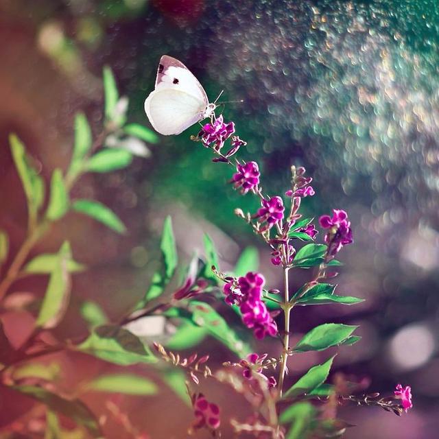 「手机摄影周刊」这14句心灵鸡汤，句句都是大实话，虽然有毒却不得不喝