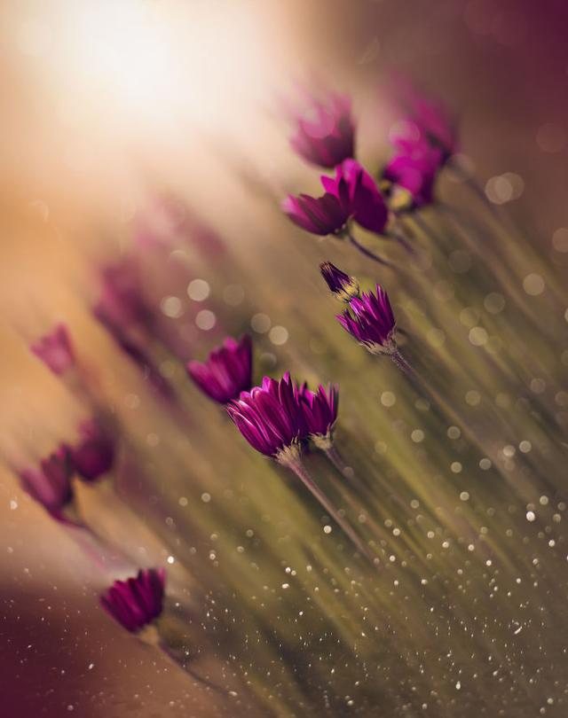 「手机摄影周刊」这14句心灵鸡汤，句句都是大实话，虽然有毒却不得不喝