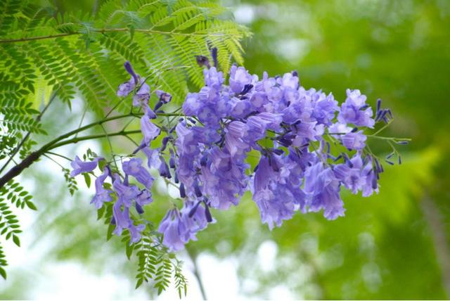 励志风雨人生■善待生活，就是善待自己