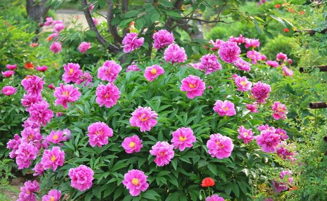 励志风雨人生■善待生活，就是善待自己