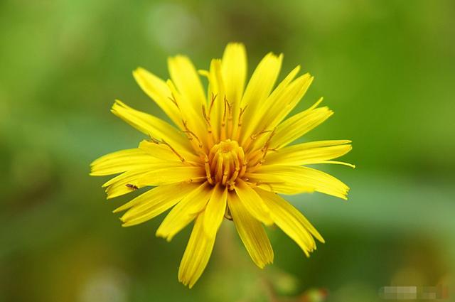 励志风雨人生■善待生活，就是善待自己