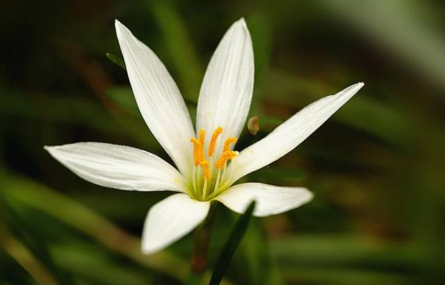 搞笑励志资源点@把善良，留给懂得感恩的人