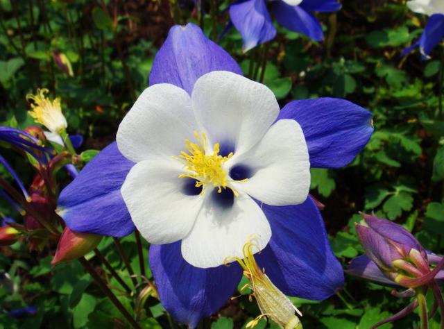 搞笑励志资源点@把善良，留给懂得感恩的人