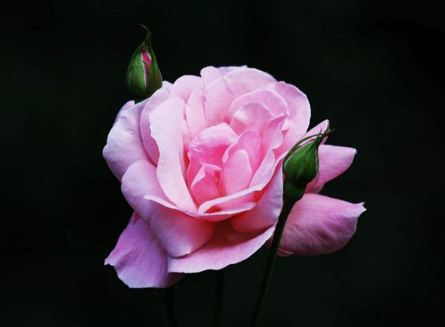 搞笑励志资源点@把善良，留给懂得感恩的人