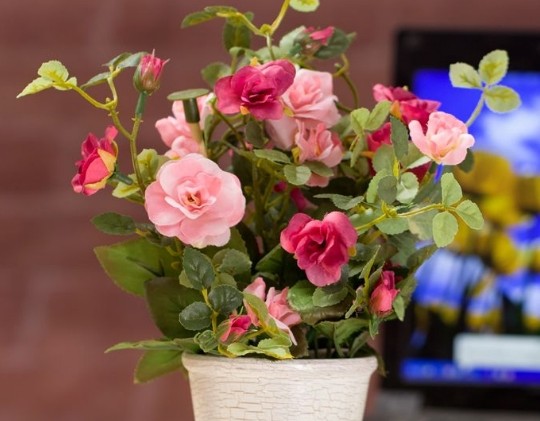 [科技的宇宙漩涡]不懂女人心的三个生肖，不太会讲话，吵架冷战不间断