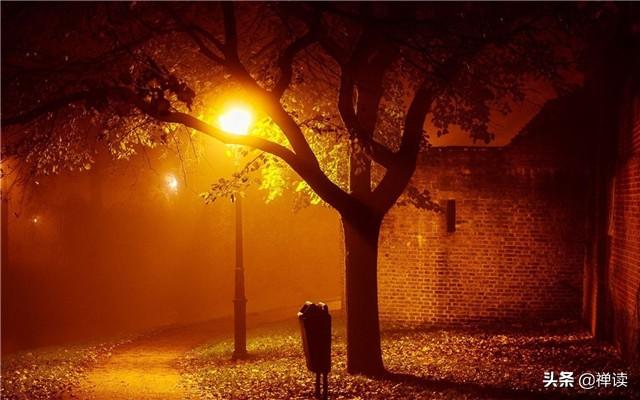 #励志司机瑞瑞#别叹世界太精彩，别羡他人太美好