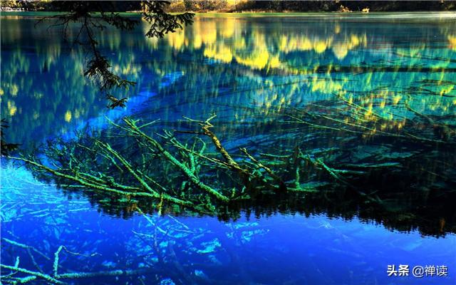 #励志司机睿睿#与其羡慕别人，不如肯定自己