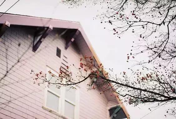 「柠檬美文」献给——嘴笨，心却真的人！（深度好文）