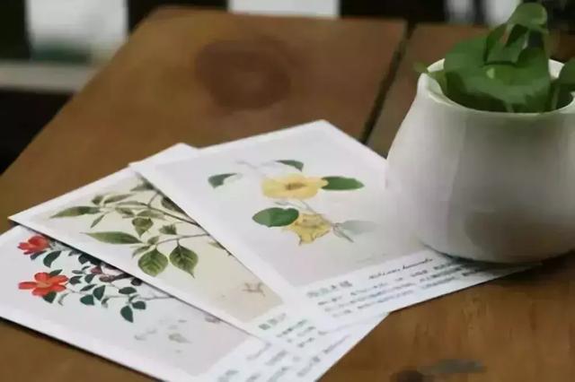 「柠檬美文」献给——嘴笨，心却真的人！（深度好文）