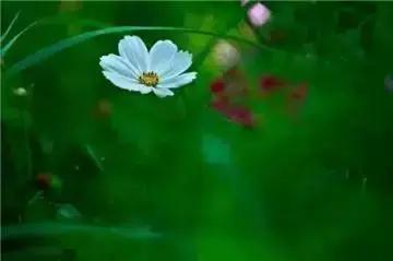 糖果儿@我输过，败过，但我从来没怕过！