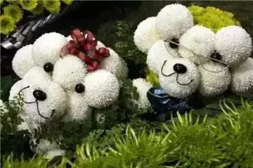 糖果儿@我输过，败过，但我从来没怕过！