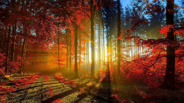 讲时尚的三虎■深夜发朋友圈的伤感说说，经典短句，第3句说到心坎上