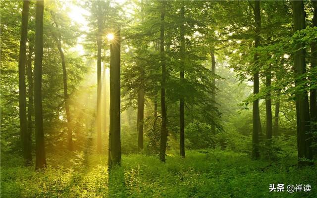 励志情感天窗■能拨动心弦的，是知音；能撞击灵魂的，是爱意