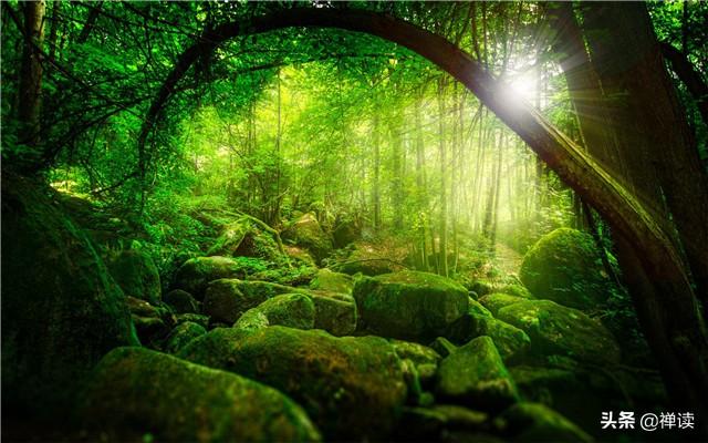 「励志搞笑人生」人生没有完美，幸福没有满分