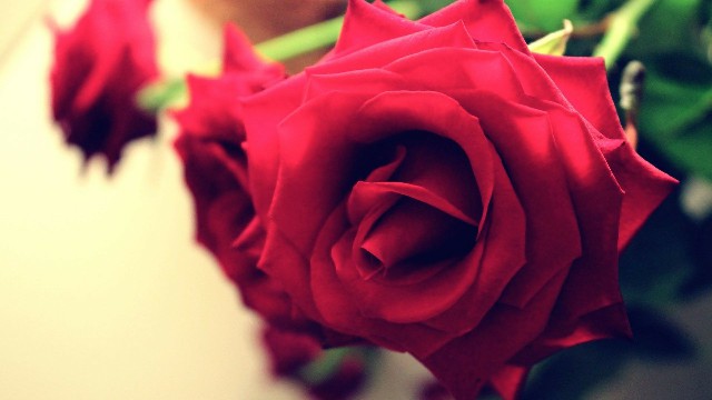 「潘谈情说爱」现实生活说说心情句子，建议珍藏，送给正消极的你