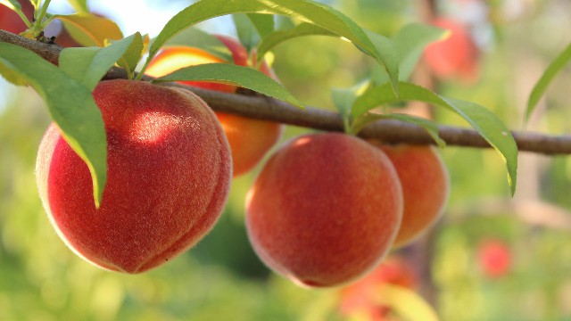 潘谈情说爱@总结人生的经典句子，经典短句，看完受益良多