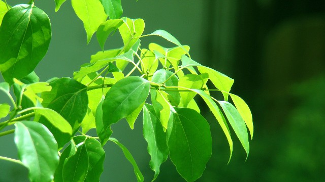 潘谈情说爱@总结人生的经典句子，经典短句，看完受益良多