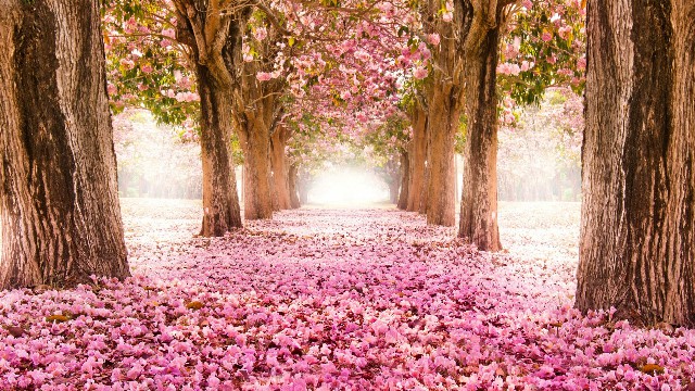 潘谈情说爱@总结人生的经典句子，经典短句，看完受益良多