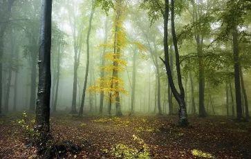 #浅浅情感说#现在的我，只求顺其自然