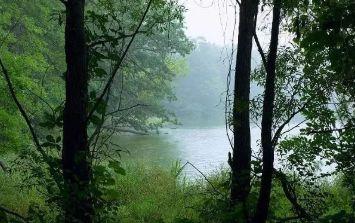 #浅浅情感说#现在的我，只求顺其自然