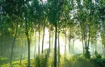 #浅浅情感说#现在的我，只求顺其自然