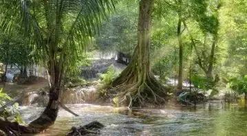 #浅浅情感说#现在的我，只求顺其自然