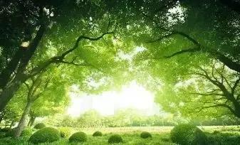 #浅浅情感说#现在的我，只求顺其自然