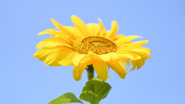 「潘谈情说爱」最简短的经典说说，字字诛心，最后一句最精辟