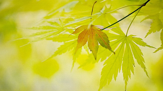 「潘谈情说爱」最简短的经典说说，字字诛心，最后一句最精辟